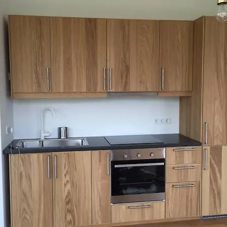 דירה 2 Bedroom Mauerpark-apartment, Mitte View Calendar ברלין